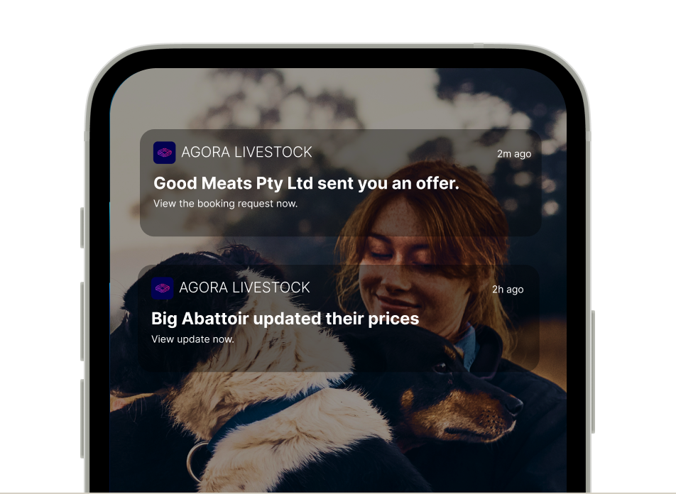 notifications-sellers