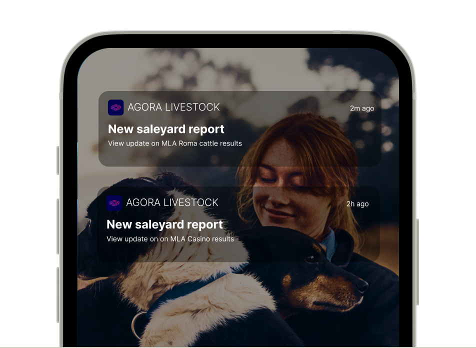 reports-sellers