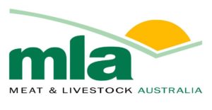 Meat & Livestock Australia Saleyard Reports