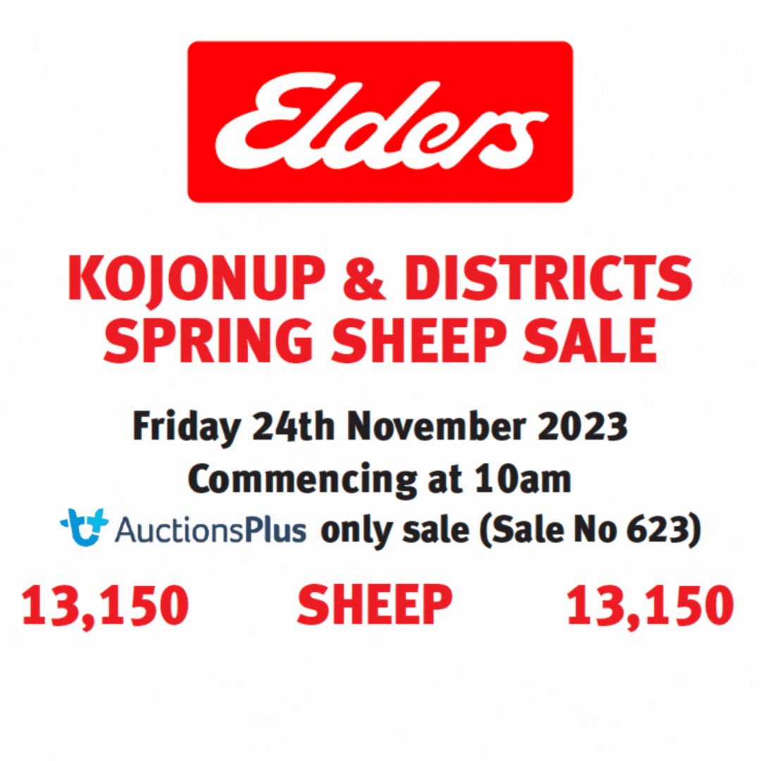 Kojonup & Districts Spring Sheep Sale (AuctionsPlus)