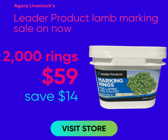 Lamb marking products on sale