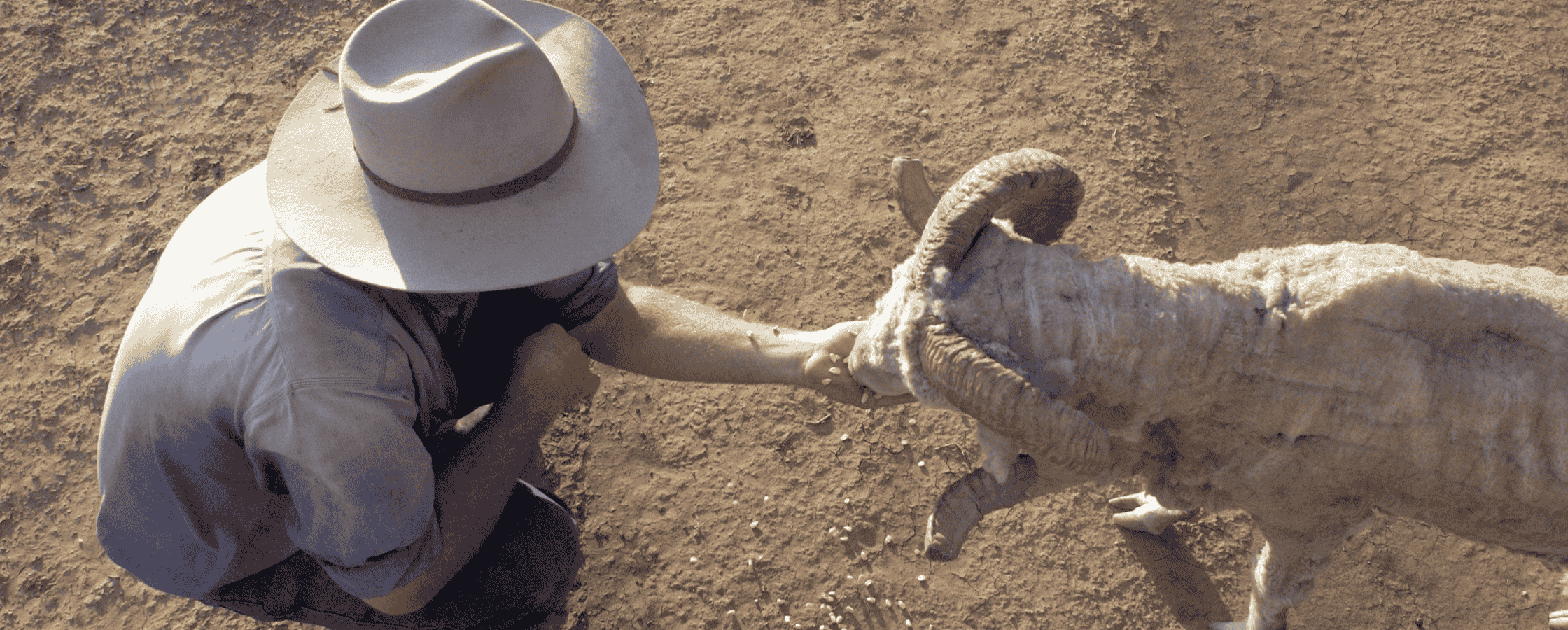 Market update images