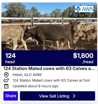 Cattle Listings 0427