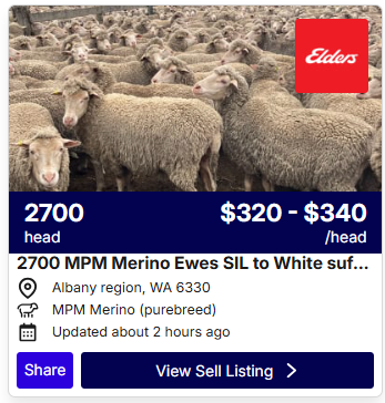 Sheep Listings 0423 1