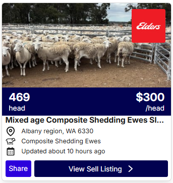 Sheep Listings 0423 3