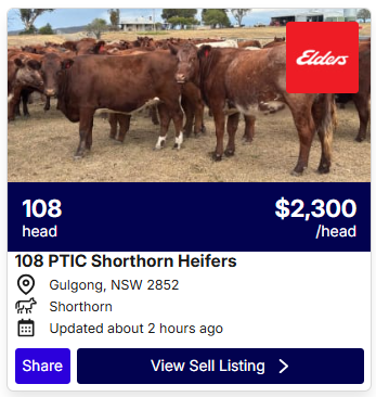 Cattle Listings 0525