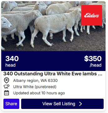 Sheep Listings 0515 2