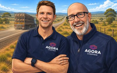 WA Lambs Flowing East as Procurement Pressure Builds Locally