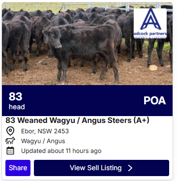 Cattle Listings 0622