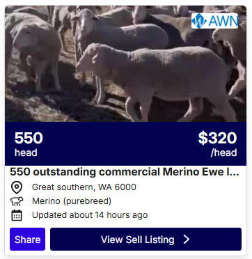 Sheep Listings 0616 4