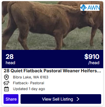 Cattle Listings 0708 2