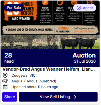 Cattle Listings 0728