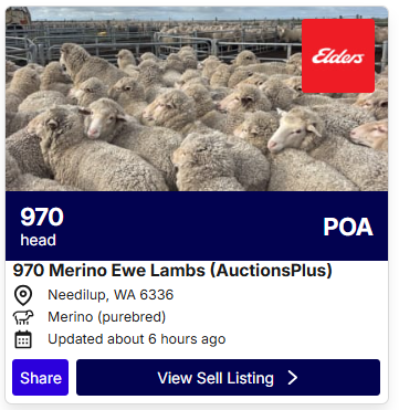 Sheep POA 0706 2