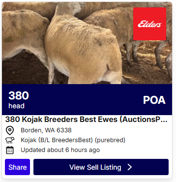 Sheep POA 0706 3