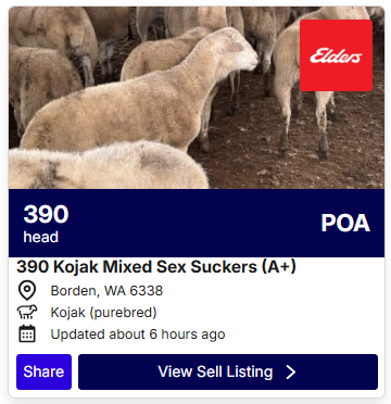 Sheep POA 0706