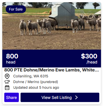 Sheep POA 0716