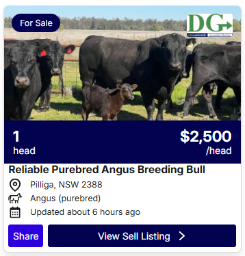 Cattle Listings 0803 1