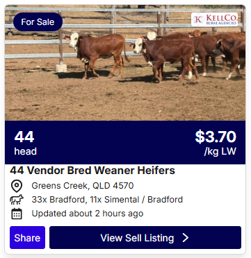Cattle Sale 0807 1