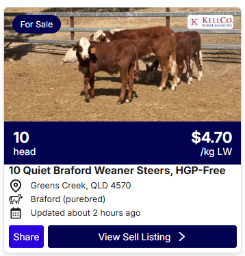 Cattle Sale 0807 2