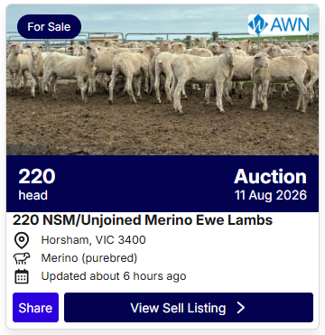 Sheep Listings 0806 2