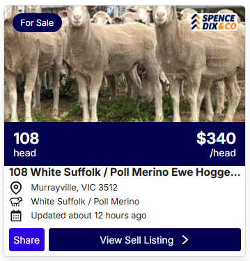 Sheep Listings 0811