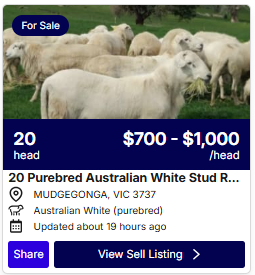 Cattle Listings 0907 1