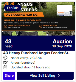 Cattle Listings 0915 1