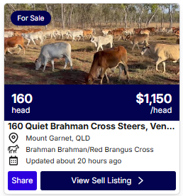 Cattle Listings 0921 1