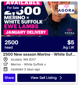 Sheep Listings 0911 1