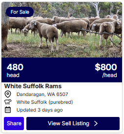 Sheep Listings 0911 2