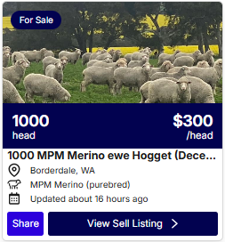 Sheep Listings 0921 2