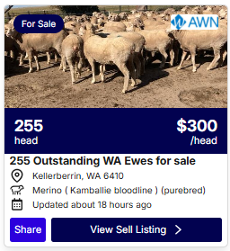 Sheep Listings 0921