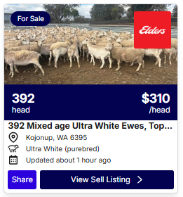 Sheep Listings 1023