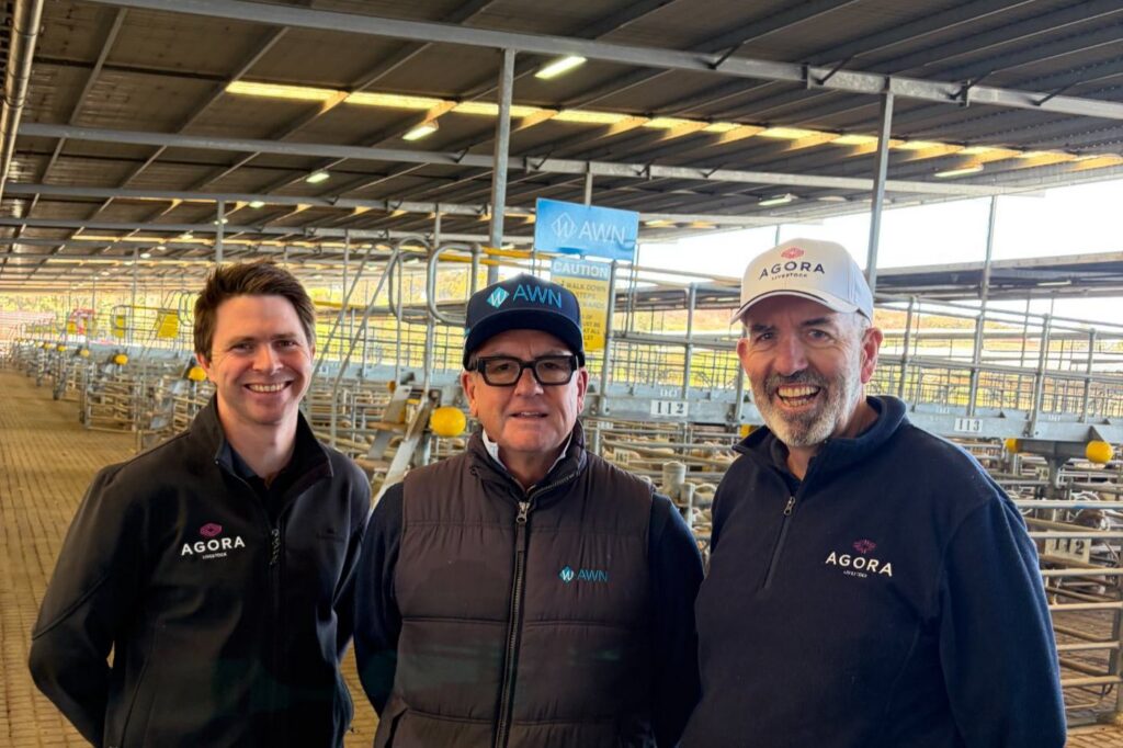 Rob Kelly, Dave Biss and Dean Hubbard at the yards
