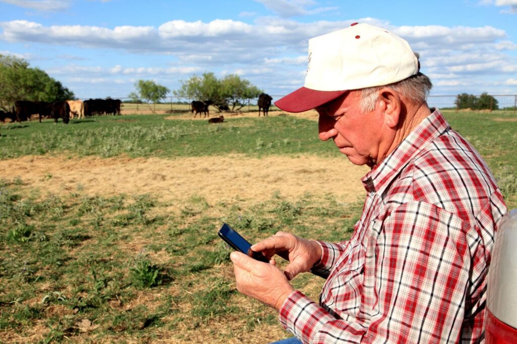 Farmer in a cap checking current livestock prices on the Agora app
