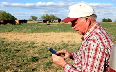 Know what your stock is worth today — Agora for farmers